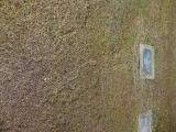 image of grave number 834839